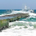 ���� �����, ������ - ��������� 15 ����� 2014 � ������ ���� ����������