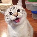 ���� ����, ����������, 47 ��� - ��������� 8 ���� 2014 � ������ ������ ��������