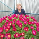 ���� ������, ������� ����, 56 ��� - ��������� 11 ���� 2014