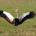 ���� ����, ��������, 59 ��� - ��������� 2 ��� 2014 � ������ ���� ����������