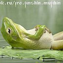 ���� �����, �������� - ��������� 19 ������ 2014 � ������ ������ ��������