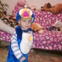 ���� ����, ����, 68 ��� - ��������� 1 ��� 2014 � ������ ���� ����������