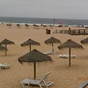 ���� �����, �����, 49 ��� - ��������� 29 ��� 2014 � ������ ���� ����������