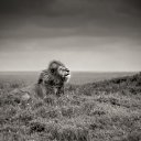 ���� �����, ������, 35 ��� - ��������� 29 ����� 2014 � ������ ������ ��������