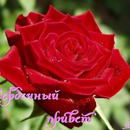 ���� ������, ��������, 65 ��� - ��������� 4 ���� 2014