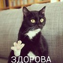 ���� Vadim, ���������, 44 ���� - ��������� 15 ��� 2014 � ������ ������ ��������