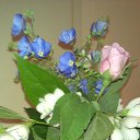 ���� �������, ������ - ��������� 16 ���� 2014 � ������ ������ ��������