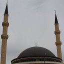 ���� ������, ����, 54 ���� - ��������� 14 ���� 2014 � ������ ���� ����������