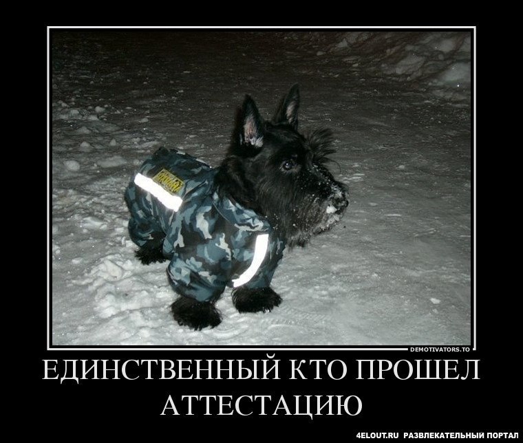 ������� ���