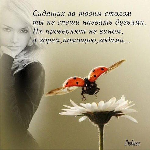   - 2  2014  14:11
