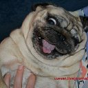 ���� Imp, ������� - ��������� 30 ��� 2014 � ������ �mops�