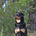 ���� ������, ���������, 53 ���� - ��������� 13 ���� 2014