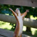 ���� ������, ����������, 64 ���� - ��������� 5 ���� 2014 � ������ ���� ����������