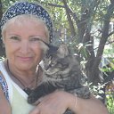 ������������ �� ���� �� ������� ����� 2012-2014�