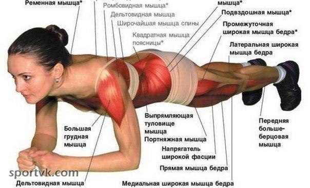 Планка является одним из самых популярных и эффективных упражнений для пресса по всему миру. Планка ...