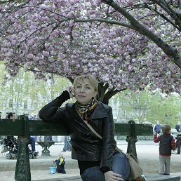 ���� �����, ����, 57 ��� - ��������� 21 ��� 2014