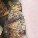 ���� Vov Lucky, ������, 41 ��� - ��������� 19 ���� 2014 � ������ ������ ��������