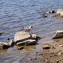 ���� ����, �������, 36 ��� - ��������� 12 ������ 2014 � ������ ����������