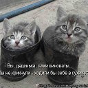 ���� ����������, ���� - ��������� 7 ������� 2014 � ������ ���� ����������