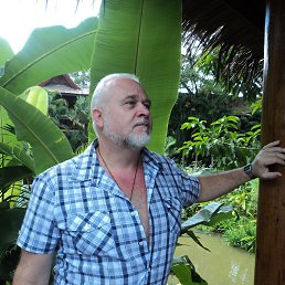 ���� ��������, ��������, 67 ��� - ��������� 16 ������� 2014