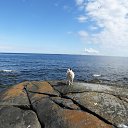 ���� ��������, �����, 65 ��� - ��������� 27 ���� 2014 � ������ ���� ����������