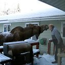 ���� ����, �����-��������� - ��������� 5 ��� 2014 � ������ ���������