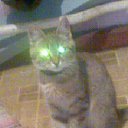 ���� ���������, ������� - ��������� 4 ������� 2014 � ������ ���� ����������