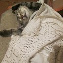 ���� ����, �������, 43 ���� - ��������� 15 ��� 2014 � ������ ������ ��������