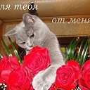 ���� ������, ������ �������� - ��������� 18 ��� 2014 � ������ ������ ��������