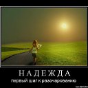 ���� �����������, ������, 64 ���� - ��������� 3 ������� 2014 � ������ ������ ��������