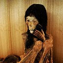 ���� ����, ������, 47 ��� - ��������� 17 ���� 2014 � ������ ��������.�