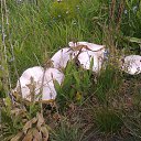 ���� Garik, ������, 51 ��� - ��������� 26 ���� 2014 � ������ ������ ��������