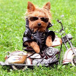 ������ ������, ������, 53 ����