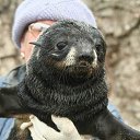 ������ ������� �� ������� �������