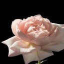 ���� ������� -------, ����������� - ��������� 30 ����� 2014 � ������ ������ ��������