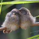 ���� ����� ))), �������� - ��������� 1 ������ 2014