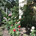 ���� �������, ������ - ��������� 5 ������� 2014 � ������ ������ ��������