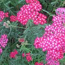 ���� ����, ����� - ��������� 10 ������� 2014 � ������ ���� ����ۻ