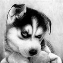 ���� �����, ������ ��������, 50 ��� - ��������� 15 ��� 2014 � ������ ���� ����������