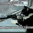 ���� ���������, �������, 45 ��� - ��������� 22 ����� 2014 � ������ ����� �������.�
