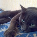 ���� ������, ������, 54 ���� - ��������� 13 ������� 2014 � ������ ���� ����������