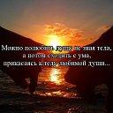 ���� Vladimir, ���������, 57 ��� - ��������� 5 ���� 2014 � ������ ������ ��������