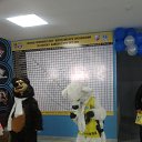 ���� ��������, ���������, 66 ��� - ��������� 4 ��� 2014 � ������ ���� ����������