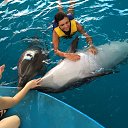 ���� �����, �����-���������, 52 ���� - ��������� 8 ���� 2014 � ������ ������� 2014�