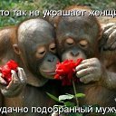  ,  -  29  2014    