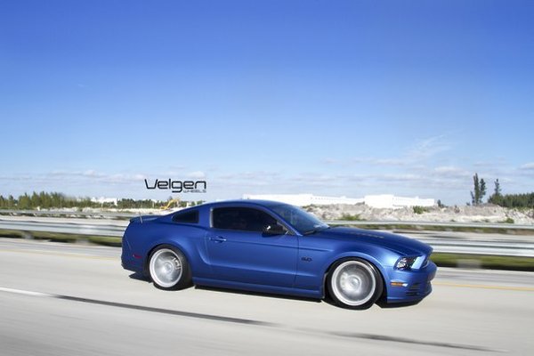 Matte Blue Ford Mustang 5.0 - 5