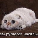 ���� ������, ������, 47 ��� - ��������� 28 ����� 2014 � ������ ���� ����������