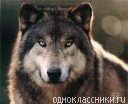 ...�� ���� ����� ���� ��������, � ����� - ������� ����))).... ���������� � ����� �����: ����� ����� �� �������? ����� �� �������� ��������, �� � ������ ����� �������, ��� ����� ��� ��������.....��� �� ��, ������, ������.... �� ������� �...�� ����� (((������)))..,-�������...�