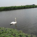 ���� �����, ���������, 56 ��� - ��������� 3 ���� 2014 � ������ ���� ����������