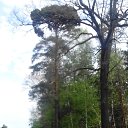 ���� ������, ����� - ��������� 25 ���� 2014 � ������ ���� ����������